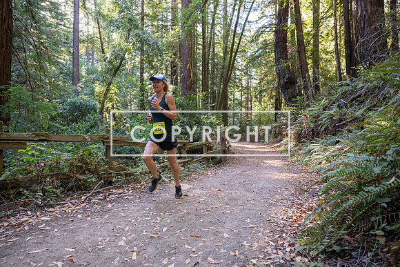 Coastal_Woodside26-489