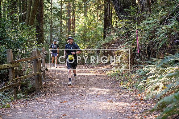 Coastal_Woodside26-493