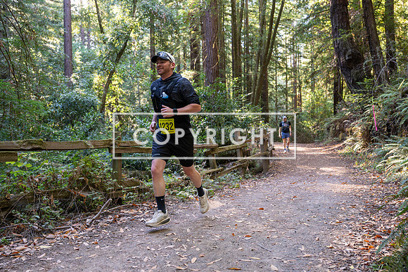 Coastal_Woodside26-496