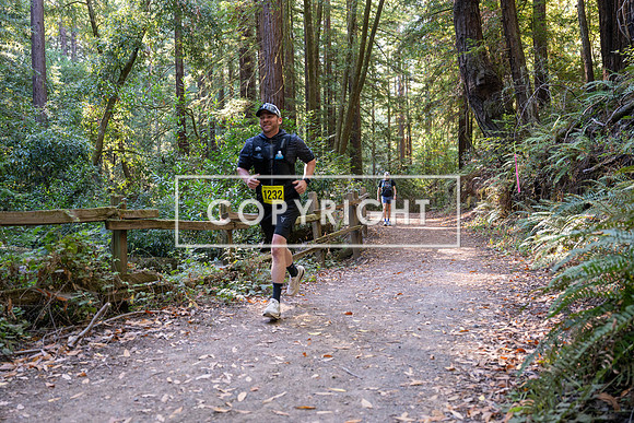 Coastal_Woodside26-494