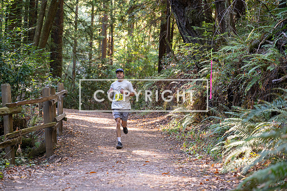 Coastal_Woodside26-497