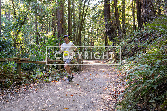 Coastal_Woodside26-499