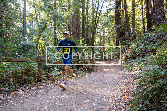 Coastal_Woodside26-508