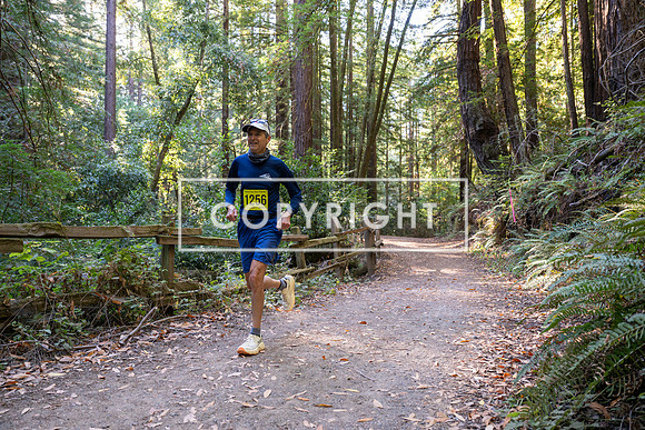 Coastal_Woodside26-509