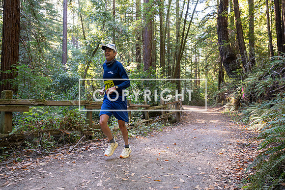 Coastal_Woodside26-510