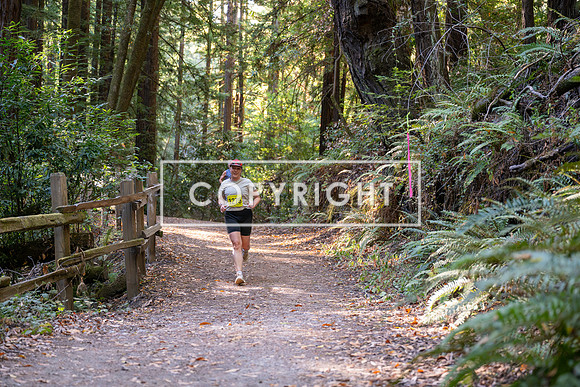 Coastal_Woodside26-511