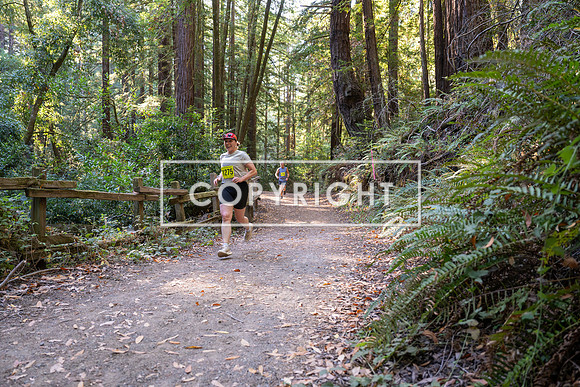 Coastal_Woodside26-512