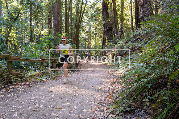 Coastal_Woodside26-513
