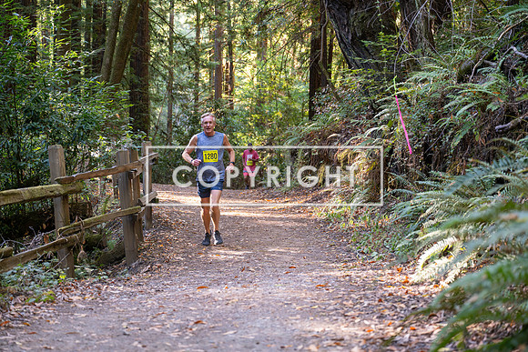 Coastal_Woodside26-514