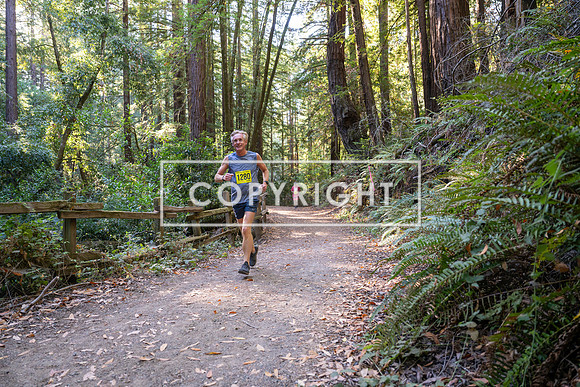 Coastal_Woodside26-515