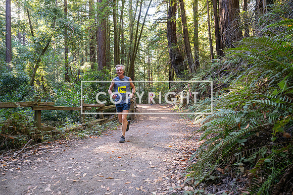 Coastal_Woodside26-516