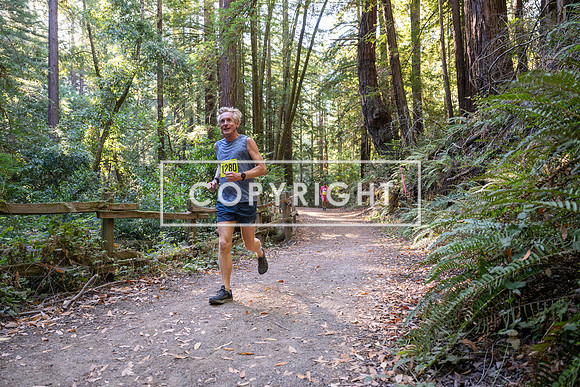 Coastal_Woodside26-517