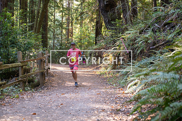 Coastal_Woodside26-518