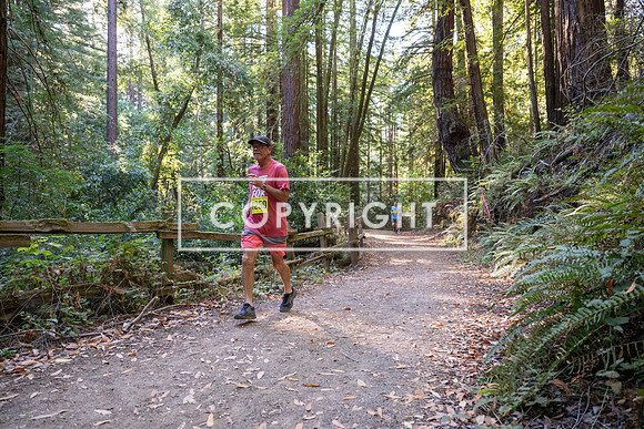 Coastal_Woodside26-519