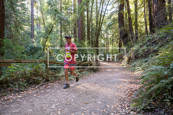 Coastal_Woodside26-520