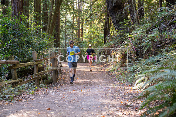 Coastal_Woodside26-521
