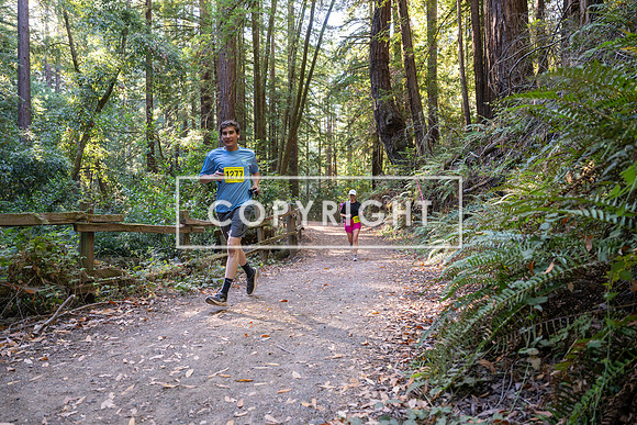 Coastal_Woodside26-522
