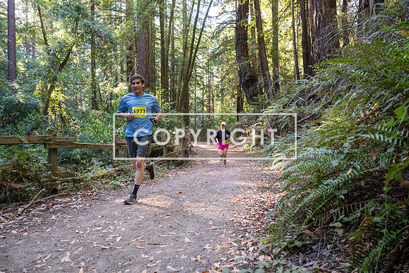 Coastal_Woodside26-523