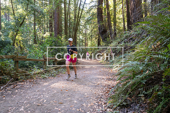 Coastal_Woodside26-524