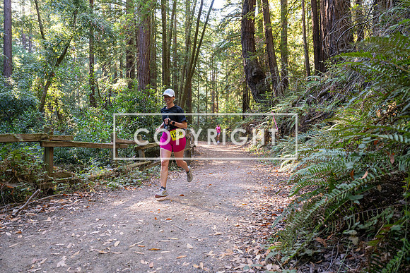 Coastal_Woodside26-525