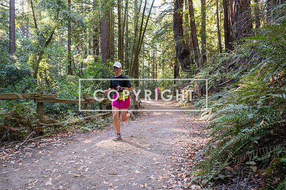 Coastal_Woodside26-526