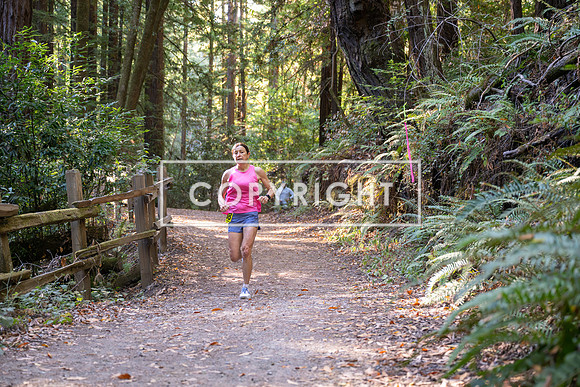 Coastal_Woodside26-527