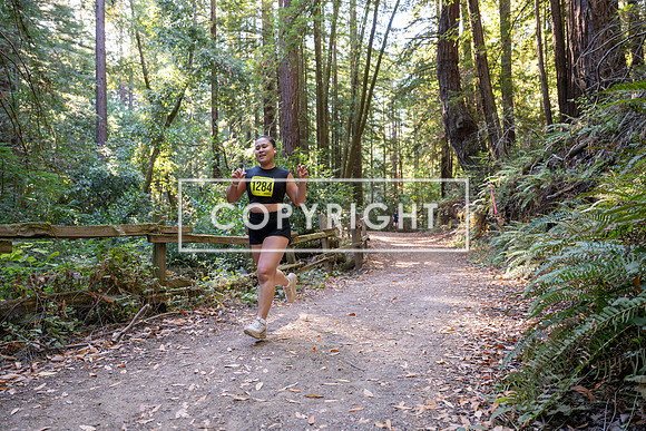 Coastal_Woodside26-535