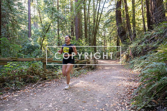 Coastal_Woodside26-536