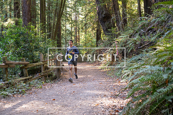 Coastal_Woodside26-537