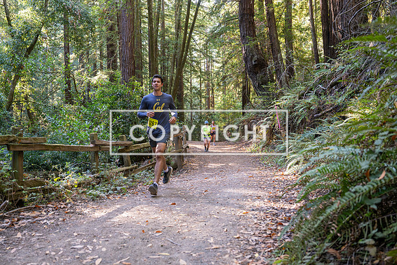 Coastal_Woodside26-538