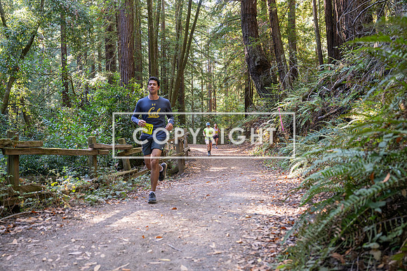 Coastal_Woodside26-539