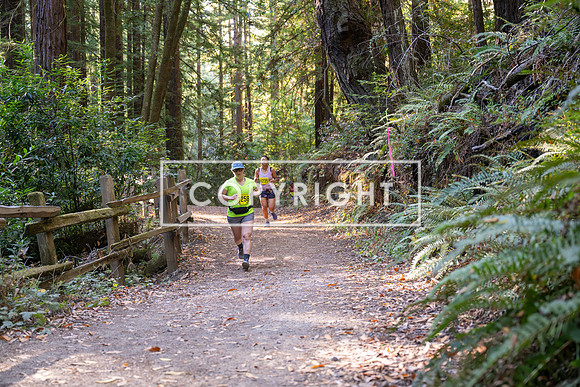 Coastal_Woodside26-540