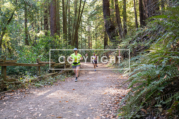 Coastal_Woodside26-541