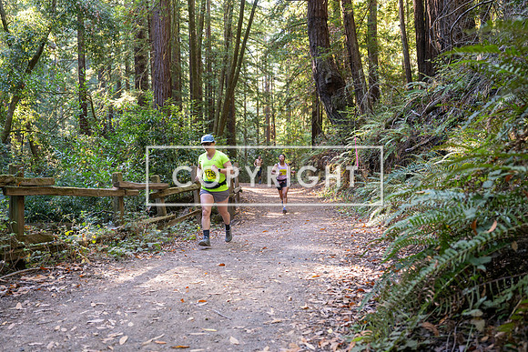 Coastal_Woodside26-542