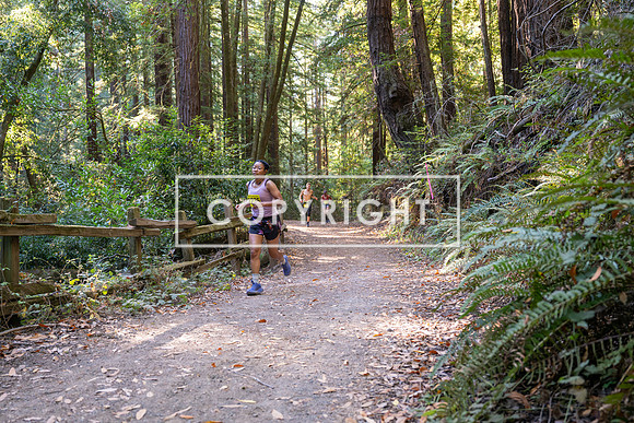Coastal_Woodside26-544