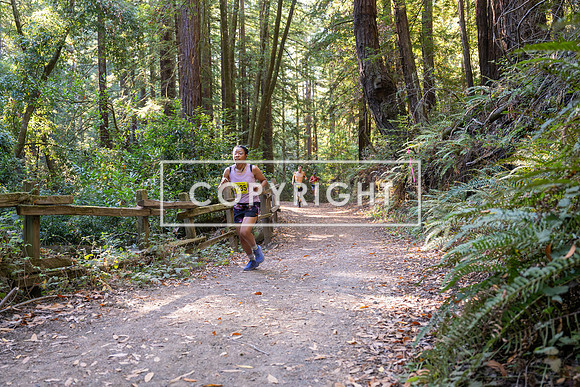 Coastal_Woodside26-545
