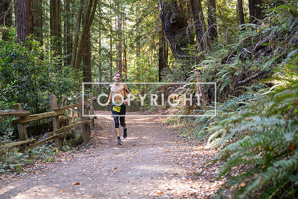 Coastal_Woodside26-546