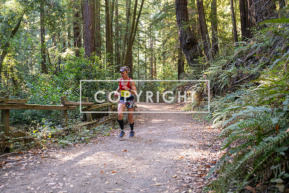 Coastal_Woodside26-549