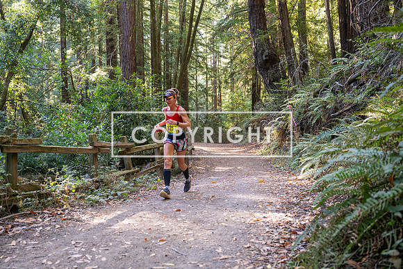 Coastal_Woodside26-550