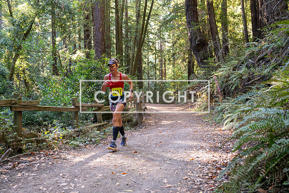 Coastal_Woodside26-551