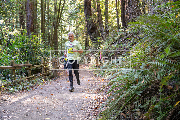 Coastal_Woodside26-552