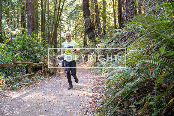 Coastal_Woodside26-553