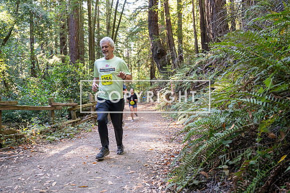 Coastal_Woodside26-554