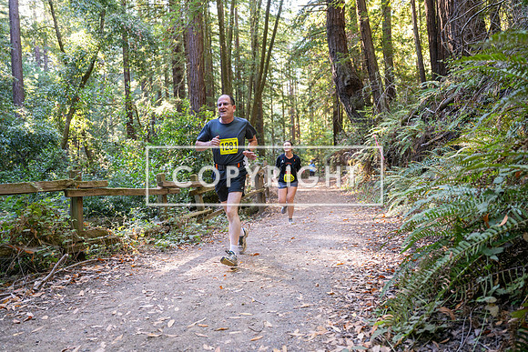 Coastal_Woodside26-555