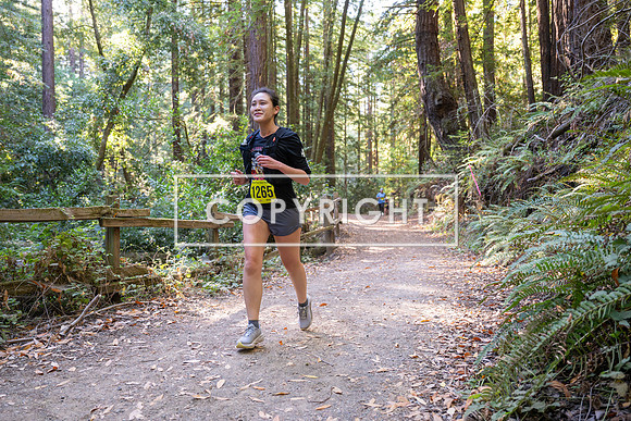 Coastal_Woodside26-556