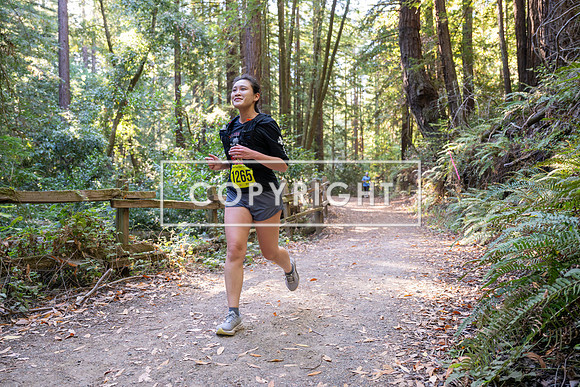 Coastal_Woodside26-557