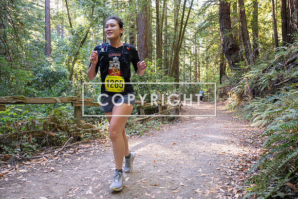 Coastal_Woodside26-558