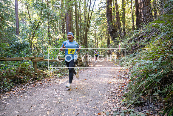 Coastal_Woodside26-560