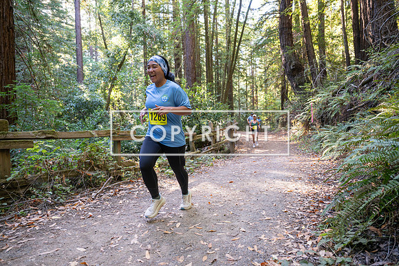 Coastal_Woodside26-561