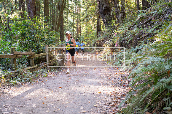Coastal_Woodside26-563